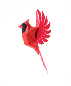Alternative view of Cardinal en papier 3D