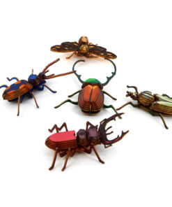 Kit petits insectes