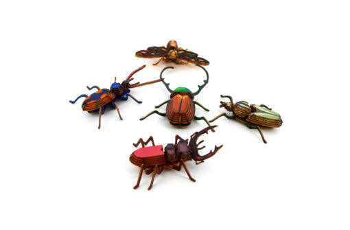 Kit petits insectes