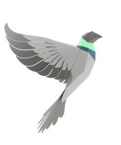 Pigeon en papier 3D