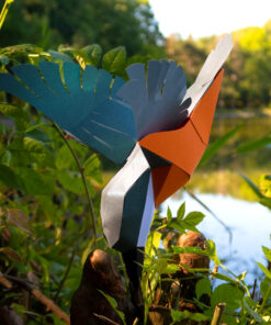 Oiseaux