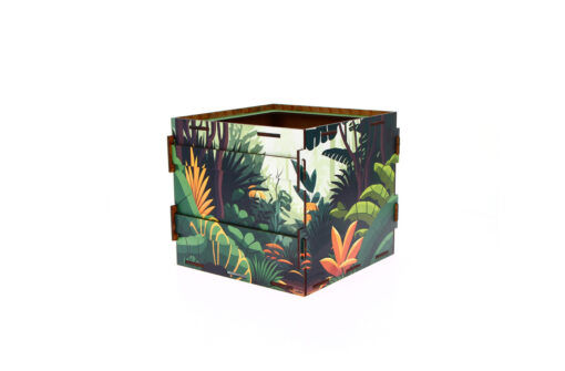 Boite Surprise en bois
