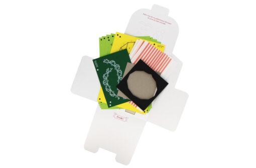 Petit Crocodile Surprise – Image 5
