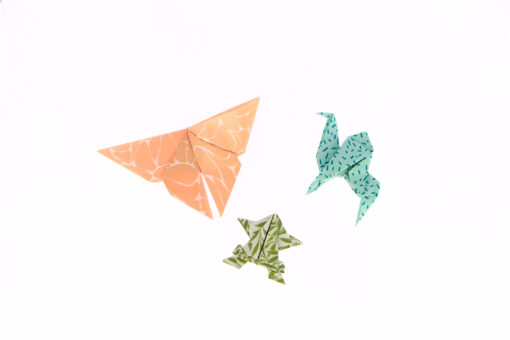 Kit Origami Printemps