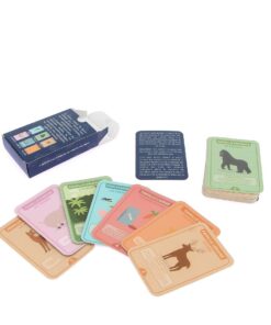 Alternative view of Jeu de 7 familles