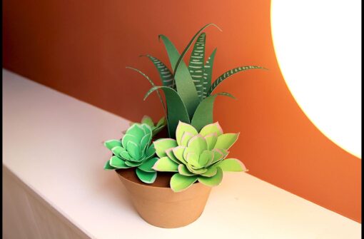 Succulentes en papier – Image 2