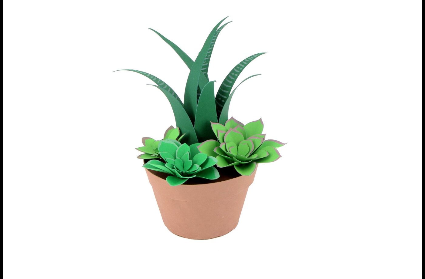 Succulentes en papier