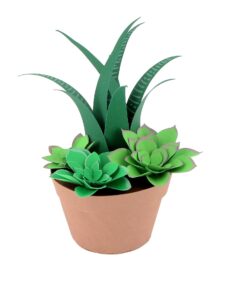 Succulentes en papier