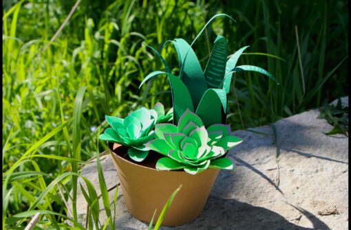 Succulentes en papier – Image 3