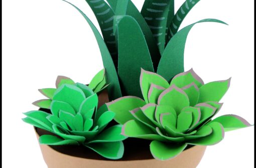Succulentes en papier – Image 4