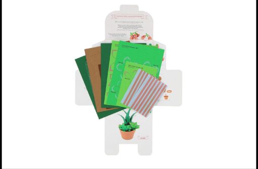 Succulentes en papier – Image 6