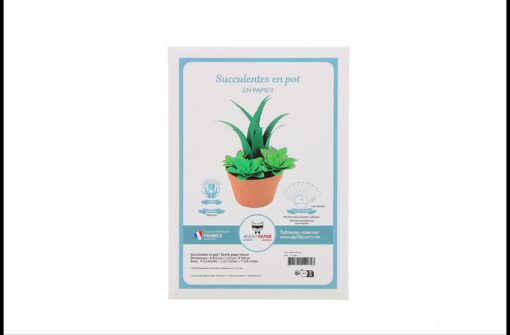 Succulentes en papier – Image 5