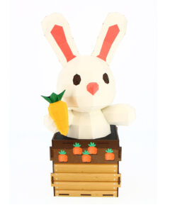 Petit Lapin Surprise