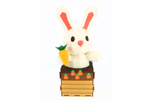 Petit Lapin Surprise