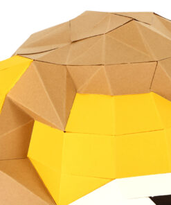Alternative view of Petit Lion Surprise