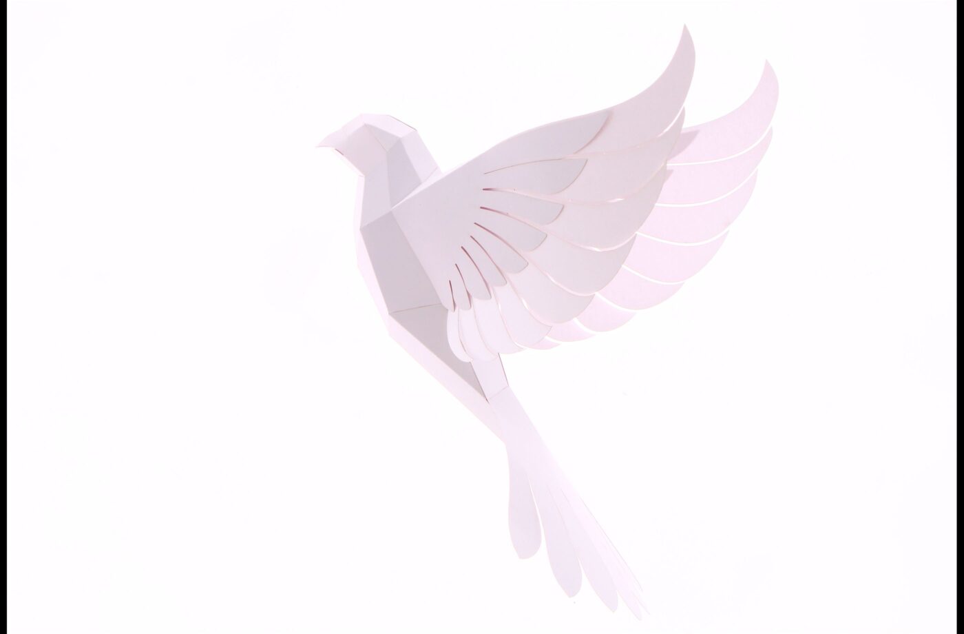 Colombe