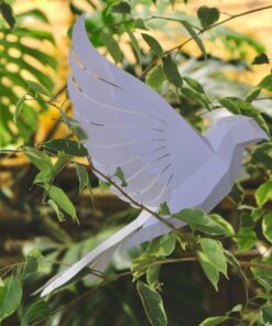 Alternative view of Colombe