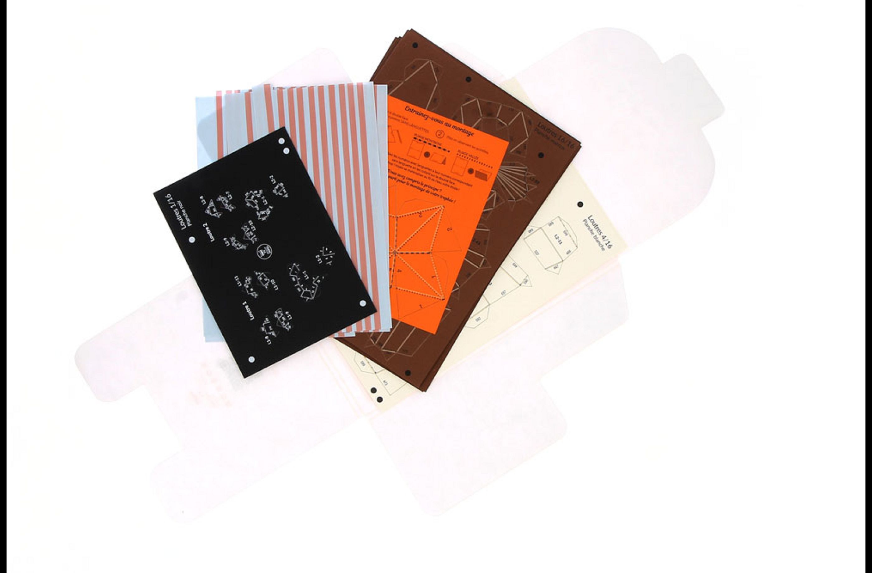 Loutres Duo – Image 4