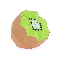Kiwi en papier