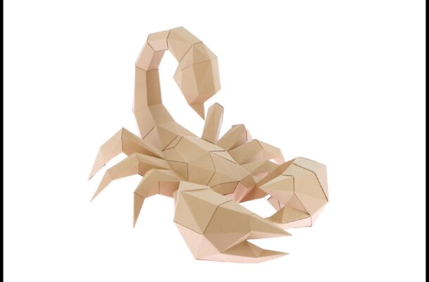 Scorpion en papier