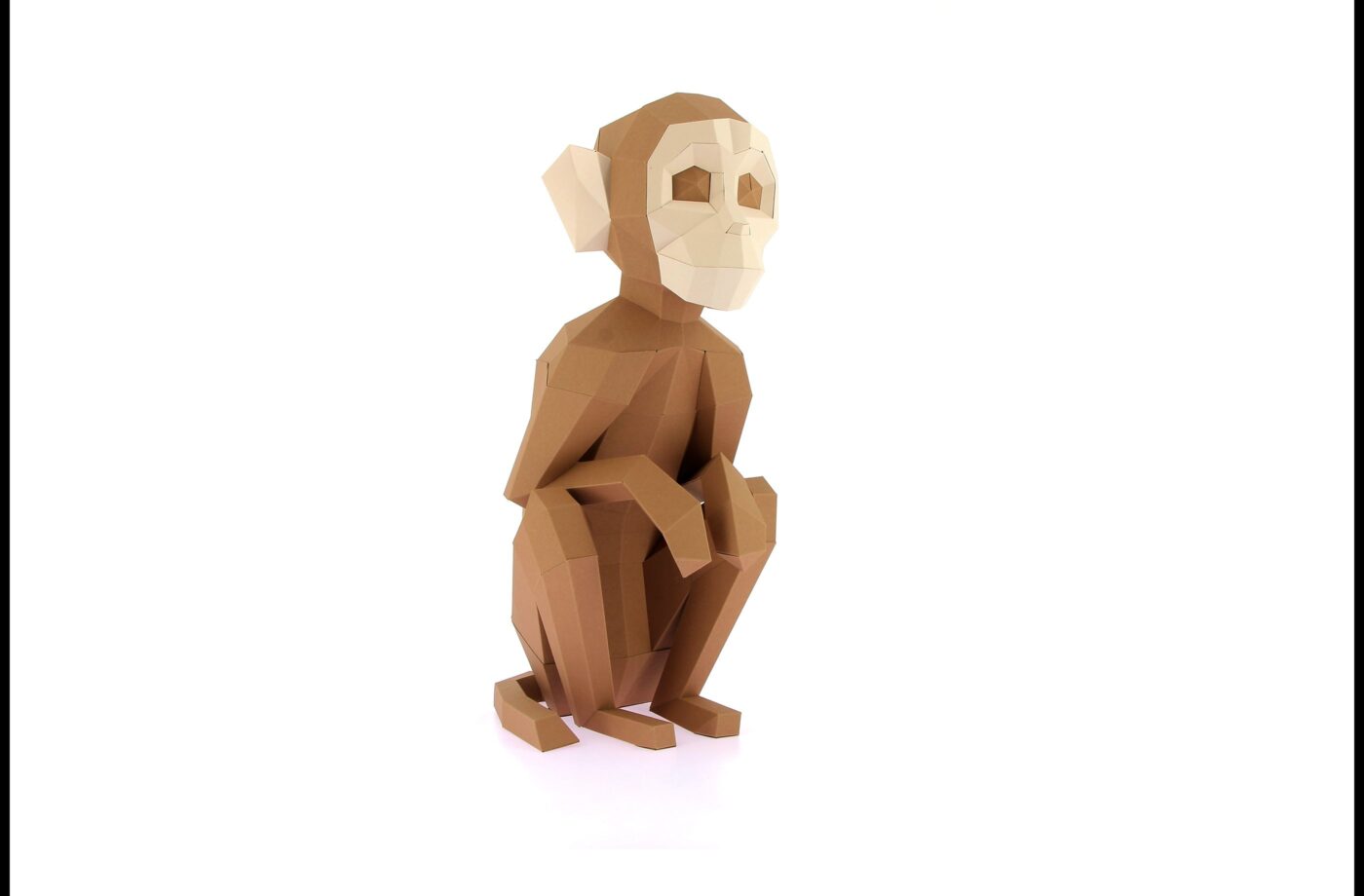 Singe Assis