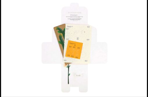Construction florale – Image 17