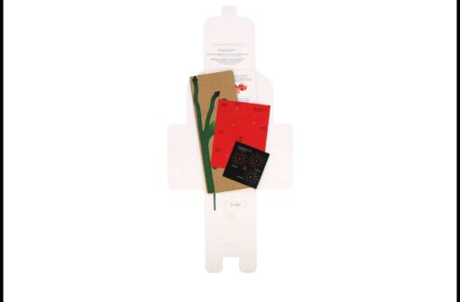 Construction florale – Image 13