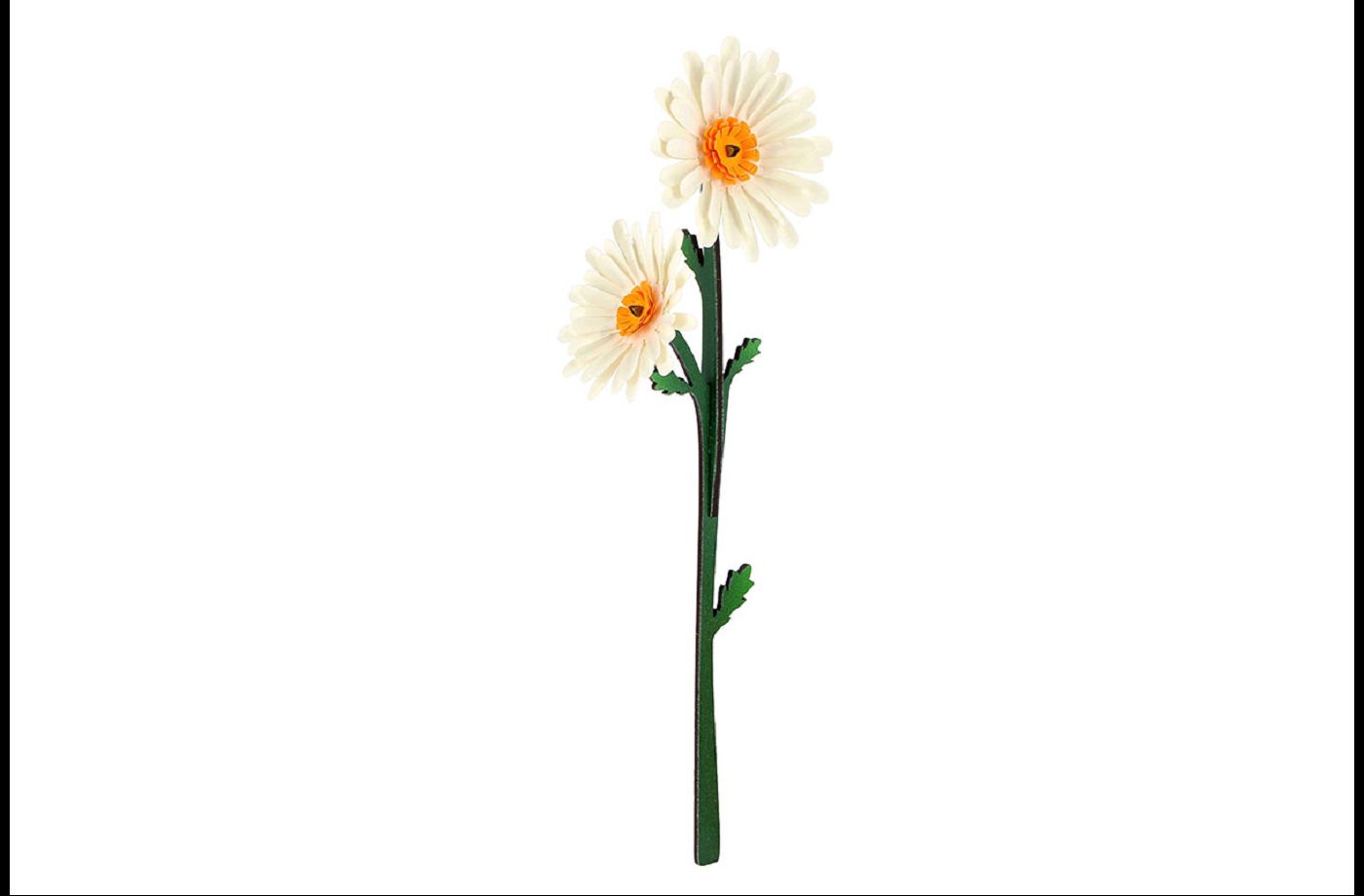 Construction florale – Image 2