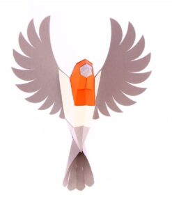 Rouge gorge en papier 3D