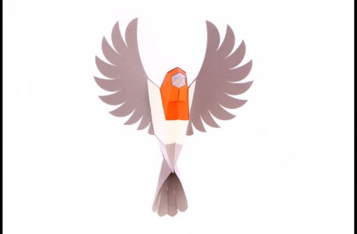 Rouge gorge en papier 3D