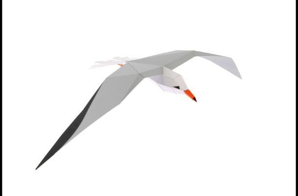 Mouette Rieuse en papier