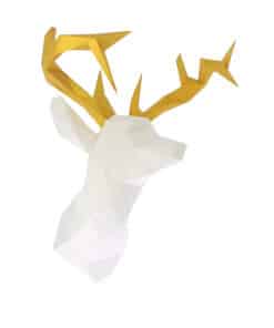 Tête de cerf collector