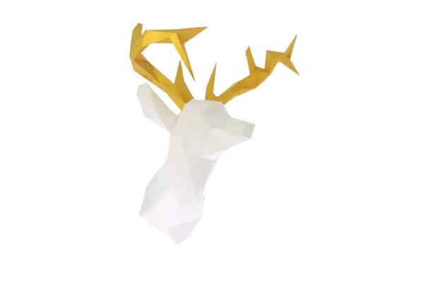 Tête de cerf collector