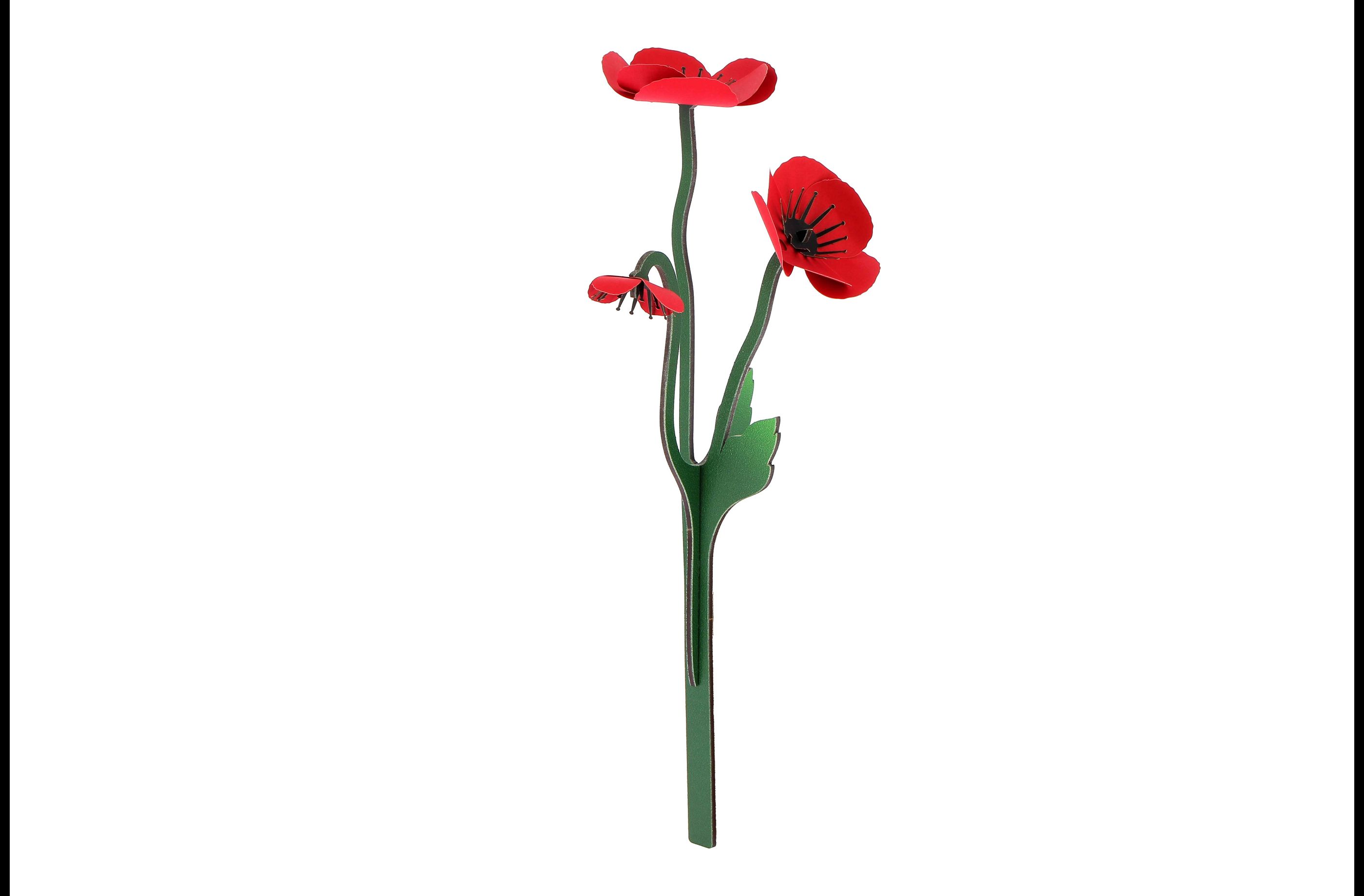 Construction florale